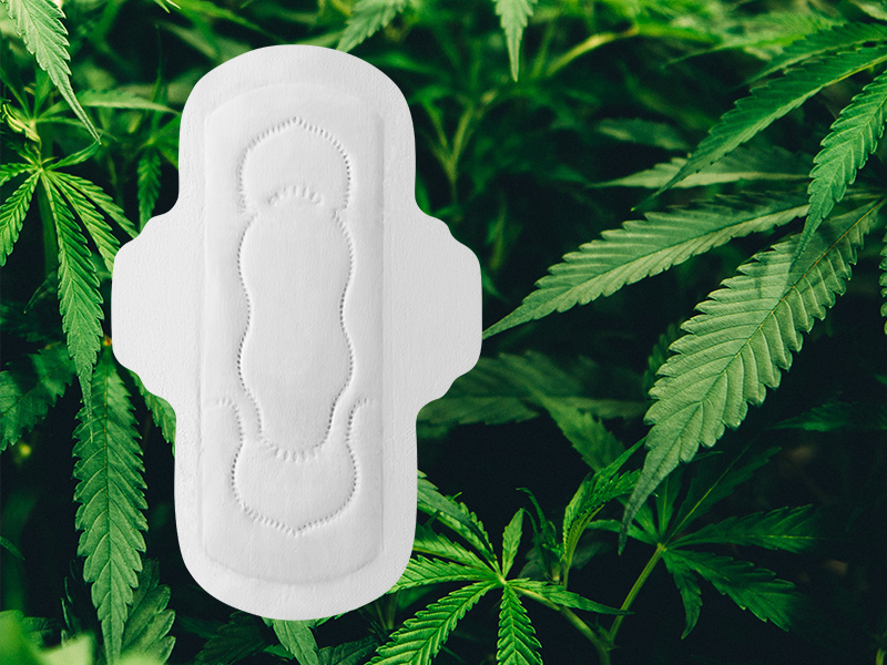 Sanitary Napkin: A Comprehensive Guide to Women's Hygiene