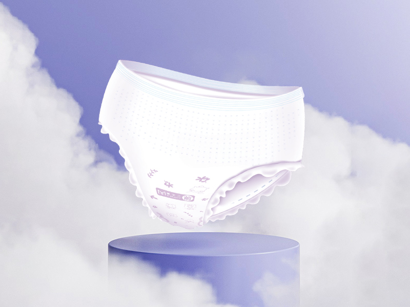 Disposable Period Pants