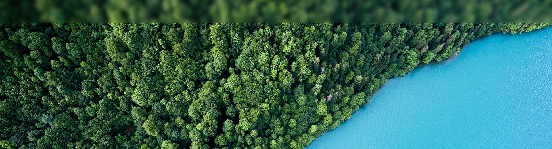 SUSTAINABILITY