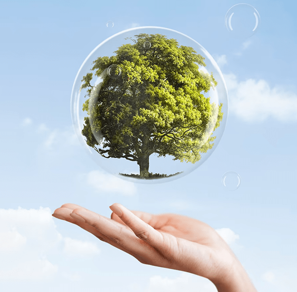 Making Sustainable Living Within Reach