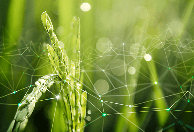 BINGBING's Sustainable Development Mission